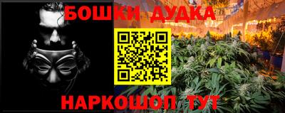индика Ликино-Дулёво