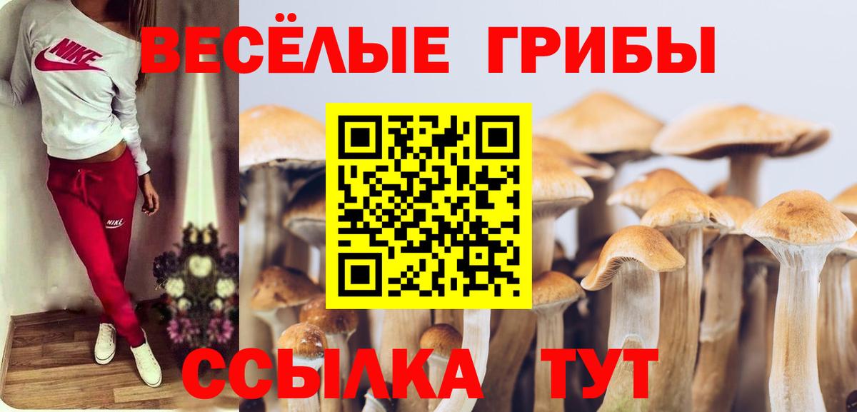 Псилоцибиновые грибы Magic Shrooms  Вход с VPN  Псилоцибиновые грибы MAGIC MUSHROOMS  Гай 
