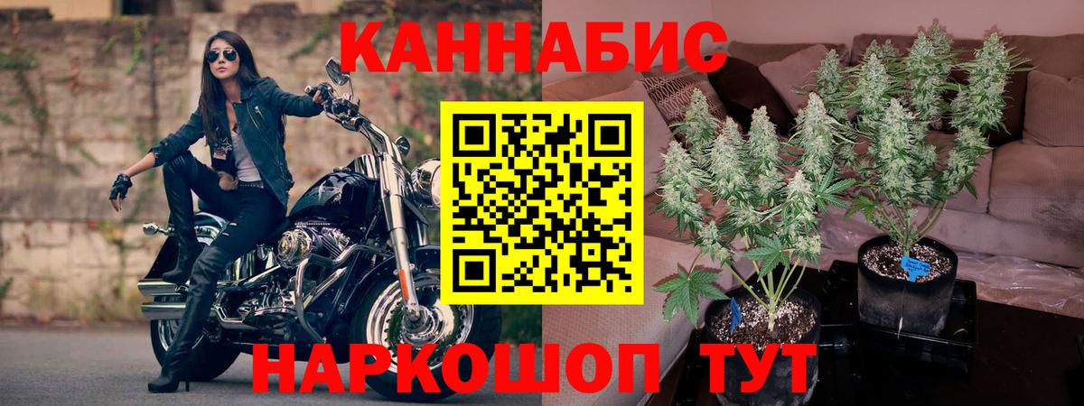 Конопля тримм Гай
